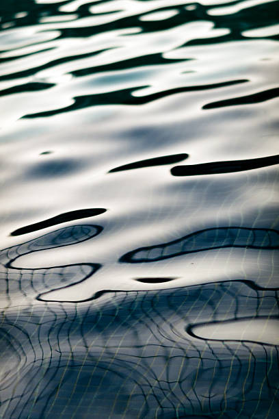 istock Water reflections in swimming pool 185004991