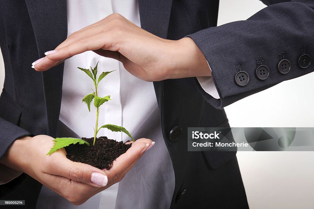 Businesswoman protecting a young plant Businesswoman protecting a young plant - XXL Image 25-29 Years Stock Photo