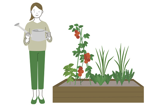 Woman with watering can in vegetable garden