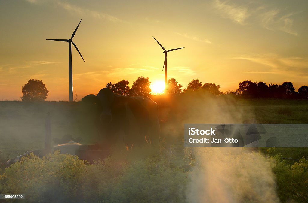 Windmühlen und Kühe - Lizenzfrei Sonnenuntergang Stock-Foto