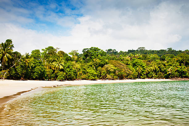 istock White Sand Beach Playa Manuel Antonio Costa Rica 185006248