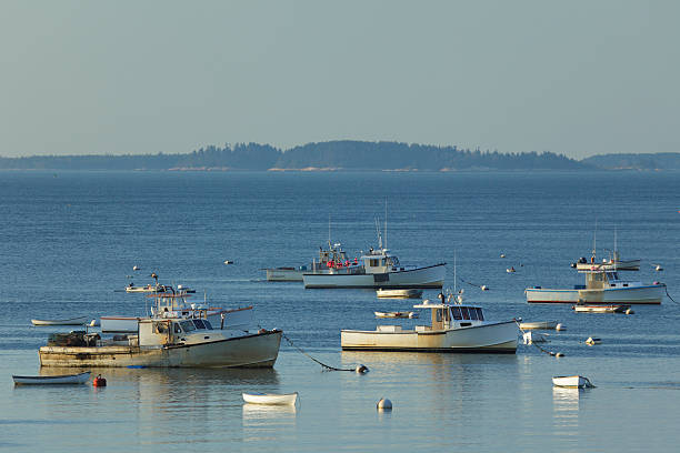 istock Boats in Harbor 185006259