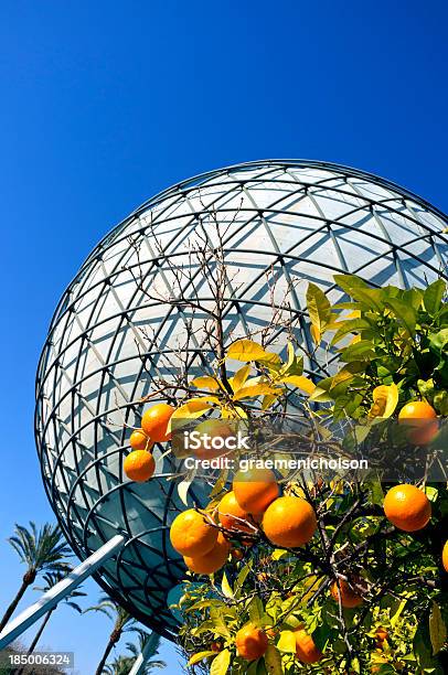 オレンジの木 - かんきつ類のストックフォトや画像を多数ご用意 - かんきつ類, アンダルシア州, オレンジの木