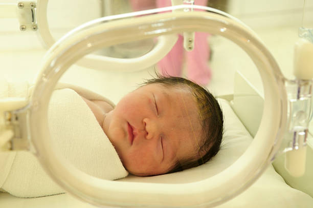 istock Incubatory baby - in the frame 185006669
