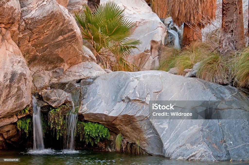 oasis dans le désert à proximité de Palm Springs, en Californie - Photo de Palm Springs - Californie libre de droits