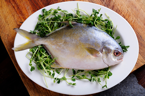 Fresh Pompano Fish on a Plate.