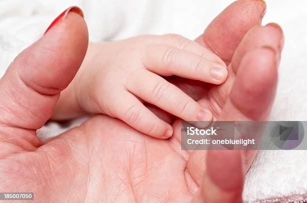 Recémnascido Menina Segurando Avó Mão - Fotografias de stock e mais imagens de Adulto - Adulto, Agarrar, Alcançar