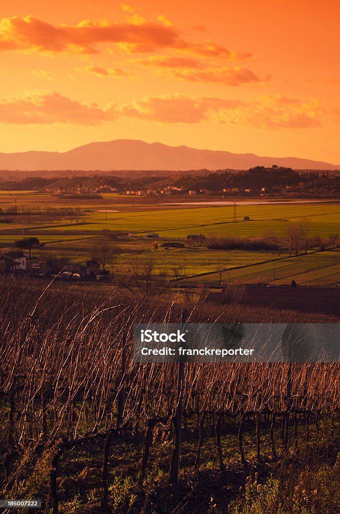 Região de Chianti hills ao pôr do sol em Toscana-Itália - Royalty-free Agricultura Foto de stock