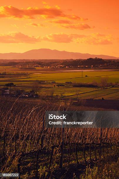 Região De Chianti Hills Ao Pôr Do Sol Em Toscanaitália - Fotografias de stock e mais imagens de Agricultura