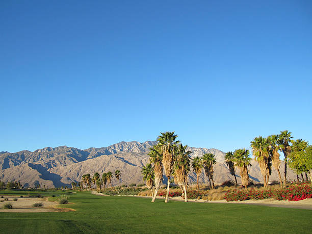 istock Lush green golf course in the Palm Springs desert 185007291