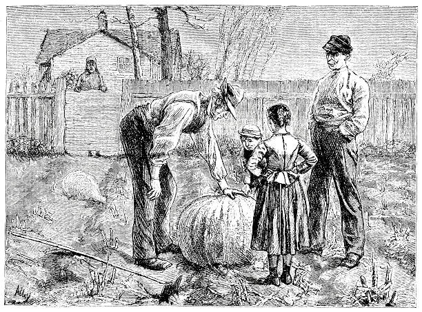 illustrations, cliparts, dessins animés et icônes de gravure de la citrouille géante-victorian - farm pumpkin autumn farmer