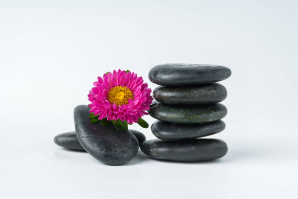 istock Spa stones and flowers on the white background 1850076617