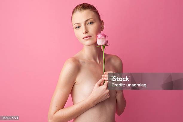 Woman Holding A Pink Rose Stock Photo - Download Image Now - Adult, Beautiful People, Beautiful Woman
