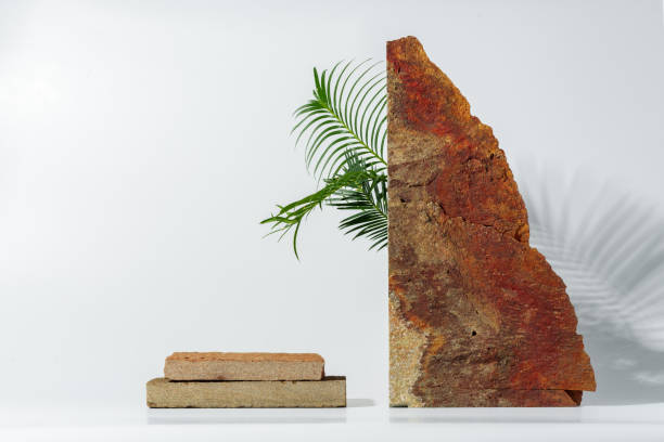 istock Granite stone with branch green leaf on studio background 1850079197