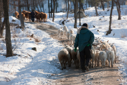 Rural scenery in winter.See my other pics of North Korea: