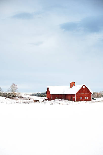 istock Snow in Sweden 185008118