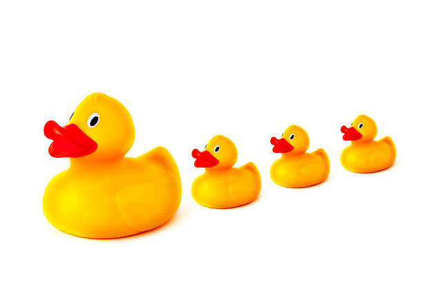istock Duck family 185008223