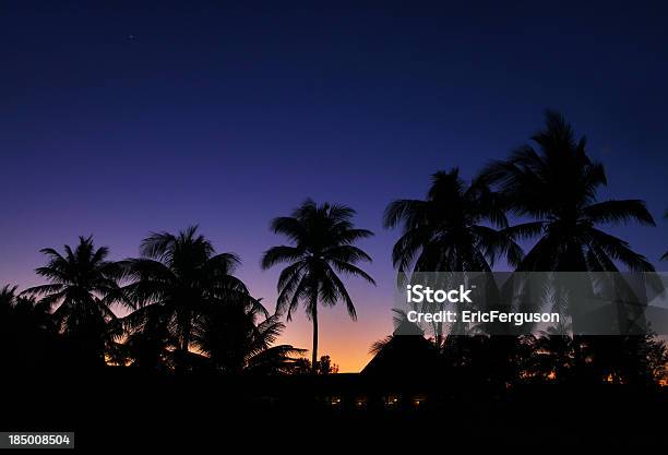 Tropischen Sonnenuntergang Mit Palmen Stockfoto und mehr Bilder von Abenddämmerung - Abenddämmerung, Blatt - Pflanzenbestandteile, Bunt - Farbton