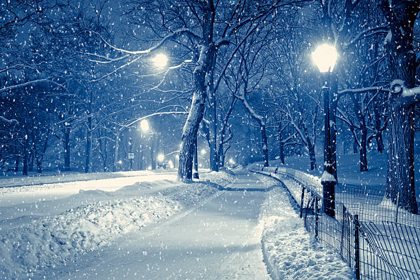 central park à noite durante a tempestade de neve - snow winter bench park imagens e fotografias de stock