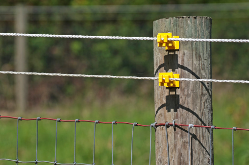 Electrified wires on pasture fence