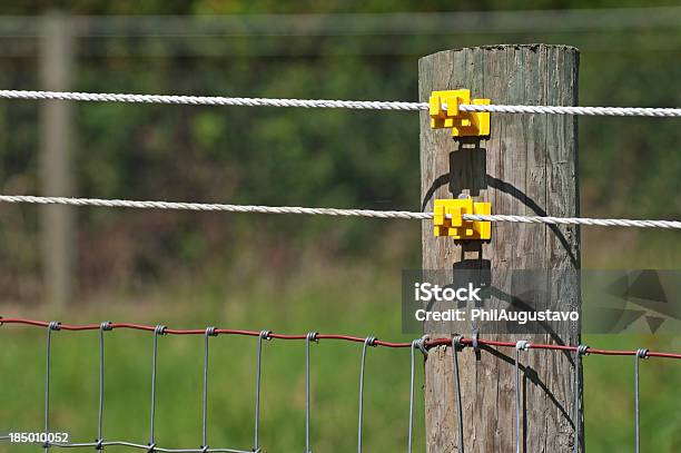 Электрифицированный Проводов На Пастбище Забор — стоковые фотографии и другие картинки Забор - Забор, Линия электропередач, Без людей