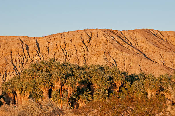 The Coachella Valley desert oasis near Palm Springs California.