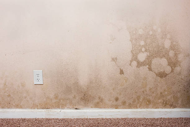 ホームインテリア型 - mold damaged home interior wall ストックフォトと画像