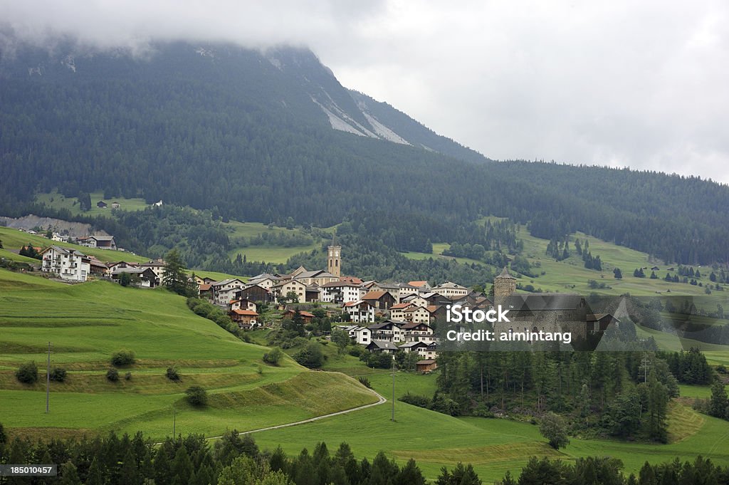 Valle Engadina - Foto stock royalty-free di Albero