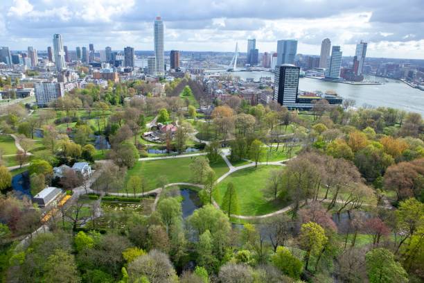 istock Panoramic view of Rotterdam, Netherlands 1850104688