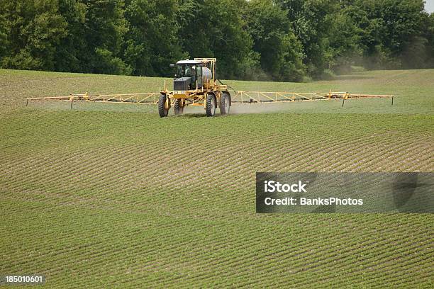 Boom Sprayer Auftragen Pesticide Bis Frühling Sojabohne Field Stockfoto und mehr Bilder von Versprühung von Schädlingsbekämpfungsmittel