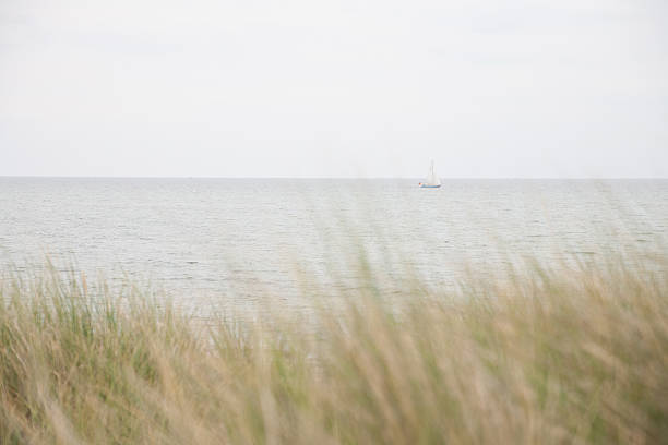 blick auf meer - bohlen стоковые фото и изображения