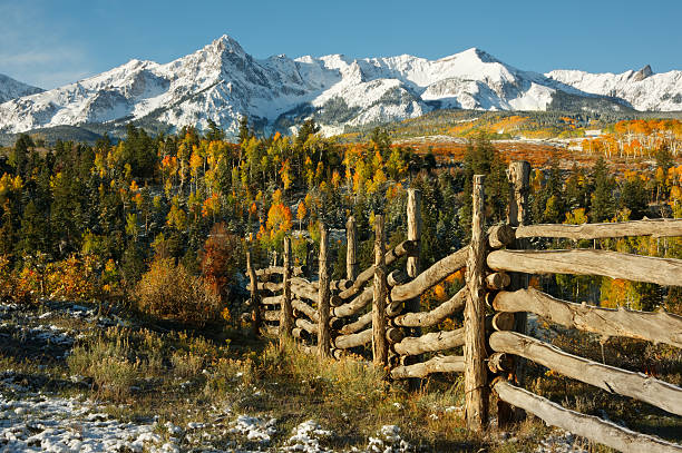 aspen colori autunnali di mount sneffels - uncompahgre national forest foto e immagini stock