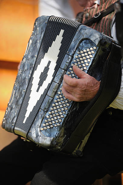 accordion player - dragspel ute sverige bildbanksfoton och bilder