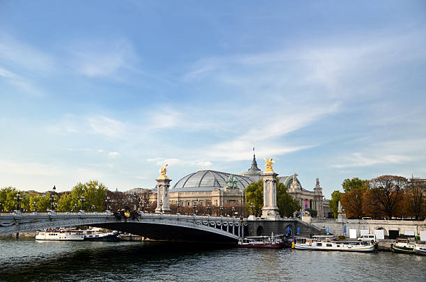 Grand Palais and Alexander III bridge - Paris