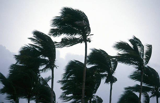 istock Philippines, Aklan Province, Boracay Island. 185011494