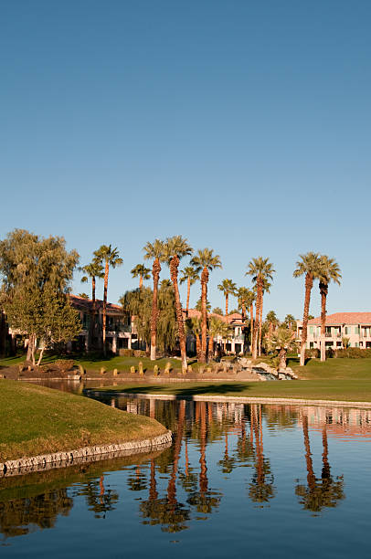 istock Lush green golf course in the Palm Springs desert 185011555