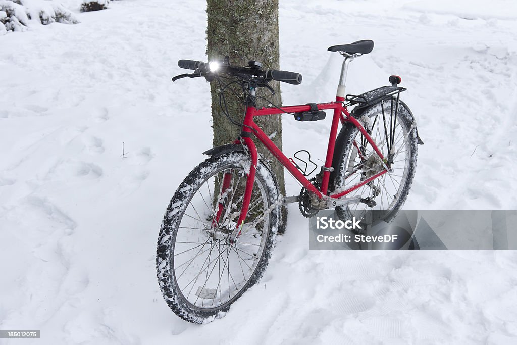 Bicicleta de montanha contra Árvore depois de ser montados na Neve - Royalty-free A nevar Foto de stock