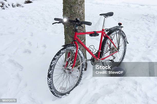 Bicicleta De Montanha Contra Árvore Depois De Ser Montados Na Neve - Fotografias de stock e mais imagens de A nevar