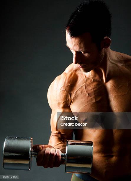 Flexão De Braço Com Peso - Fotografias de stock e mais imagens de Adulto - Adulto, Braço Humano, Bíceps