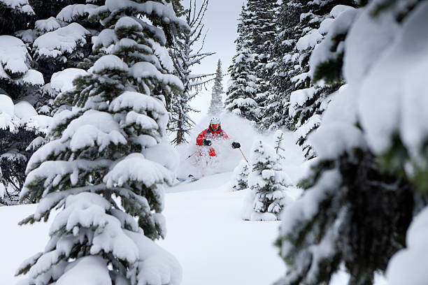 木のスキー - sports helmet powder snow ski goggles skiing ストックフォトと画像