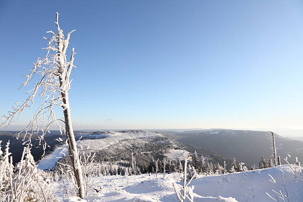 istock white winter landscape in Black Forest with tree   blue sky 185012591