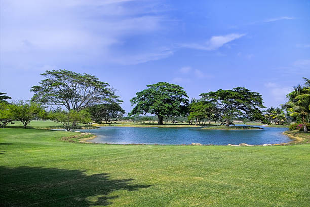 istock Tropical garden with lagoon 185013027