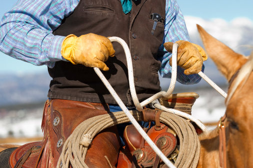 Detail of a cowboy's gloves holding a rope.