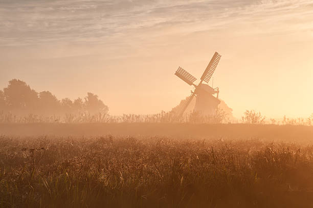 istock Dutch windmill in fog and morning sunshine 185013893