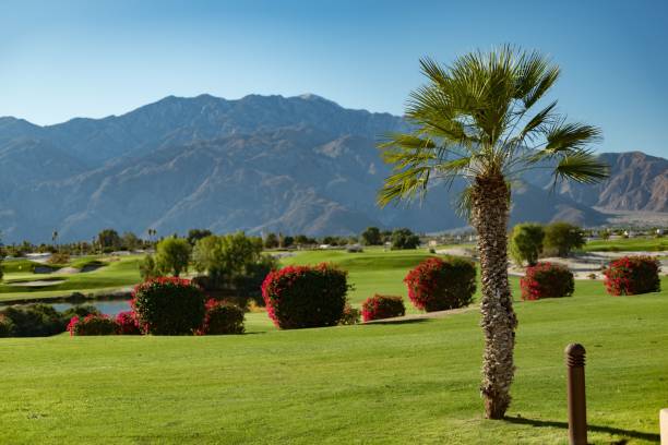 istock Fairway on a golf course in the Desert with mountains in the background. 1850142667