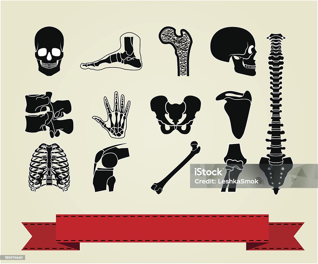 Anatomie-icons set 2 - Lizenzfrei Anatomie Vektorgrafik