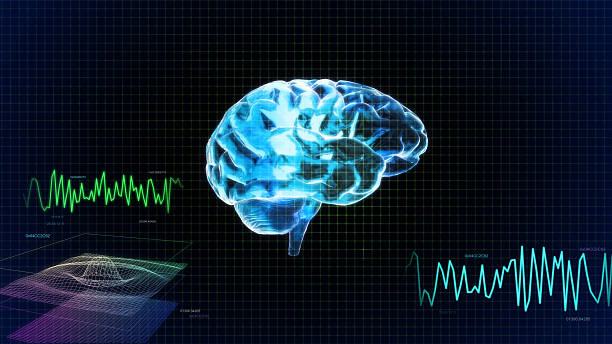 istock the crystal brain render for medical and biology concept 185014973