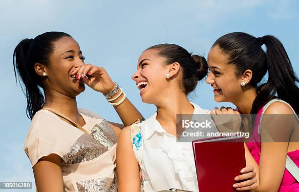 Group Of Friends Laughing Stock Photo - Download Image Now - Group Of People, Laughing, Teenage Girls