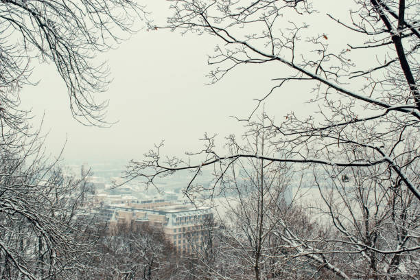 istock Volodymyrska Hill Park 1850172190