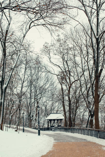 istock Volodymyrska Hill Park 1850174311